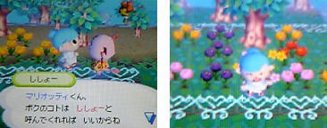 ハッピーの始まり ハッピーの始まり