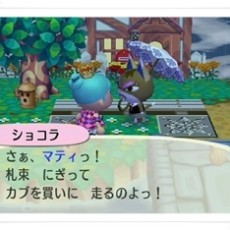 カブ売りで色々体験