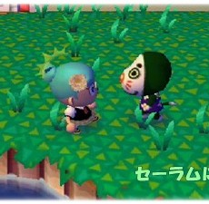 通信・通信・通信 通信・通信・通信