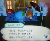 続けて2枚 続けて2枚