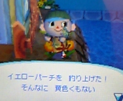 久しぶりの寄贈