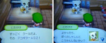 トタケケの写真