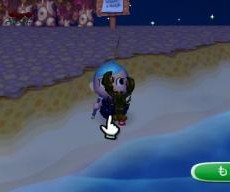 新種も幾つか 新種も幾つか