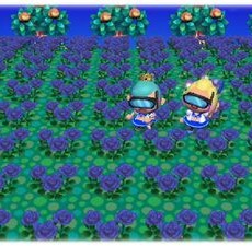 すごい人もいるもんだ! すごい人もいるもんだ!