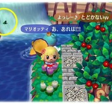 熱き女の戦い 熱き女の戦い