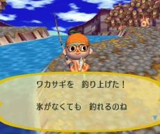 12月です 12月です