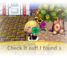 ここ数日といただきもの