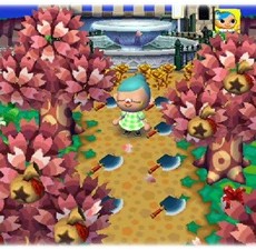 桜の季節も 桜の季節も