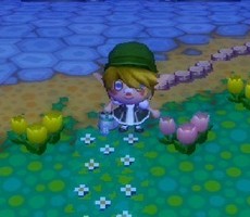 青い目のリンク 青い目のリンク