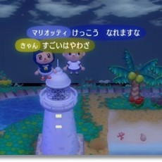 ついに登ったよ！(夜の部）