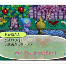 まいご母、出没中