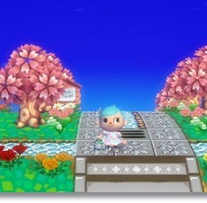 花の命は短くて