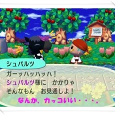 それぞれの引越し成果