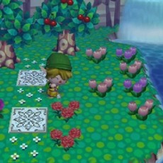 カーネーションのため