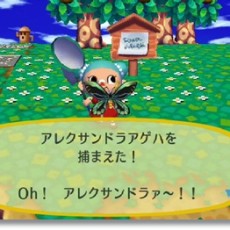 元気に大会参加！