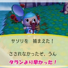 カタログに追加