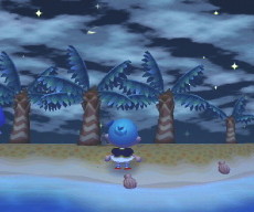 村の環境その後