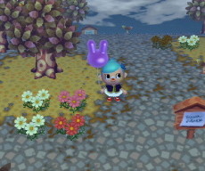 ピンクの花とサイコー! ピンクの花とサイコー!