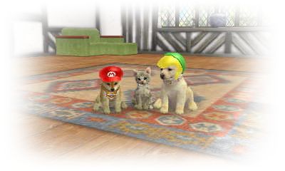 あちこち放置で