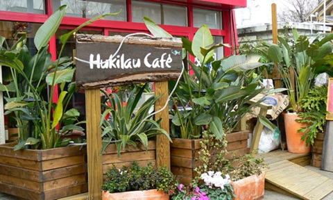 フキラウカフェ