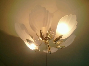 ライトの進化って