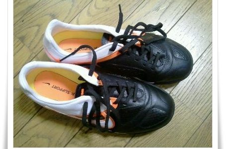 新しいトレシュー