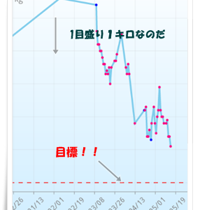 ちょっと頑張ってます