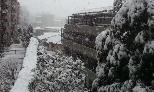 大雪の影響