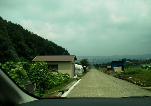 野田山墓地東側