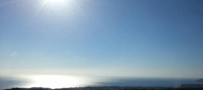 のんびりし過ぎて