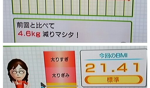 Wii-Fit 動いたよ！