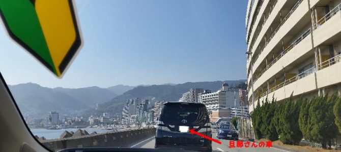 今年も来ています