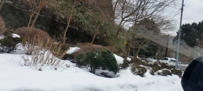 当選したのかい? 当選したのかい?