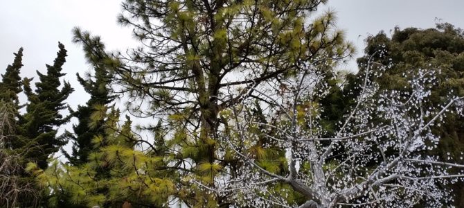 箱根ガラスの森にて 箱根ガラスの森にて