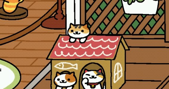 ねこあつめ・その後