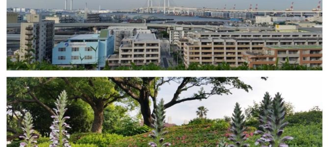 Twitter Updates for 2015-05-23