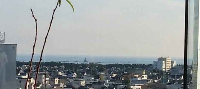 新装開店で混雑してました