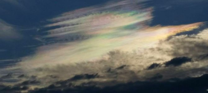 曇りの朝でしたが