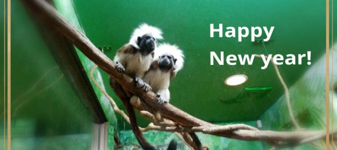 サボテン公園～どん底～回復