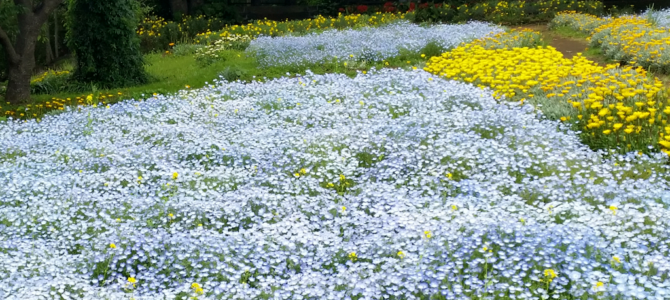 開園に行くなんて！