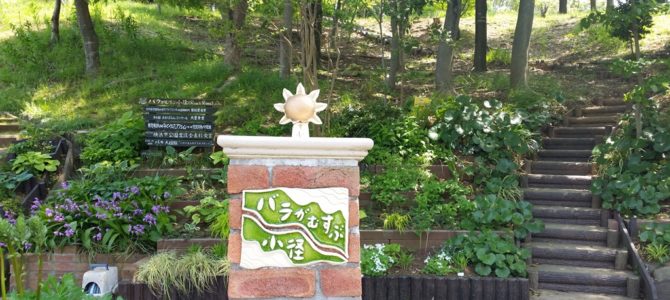 素敵なバラの小路