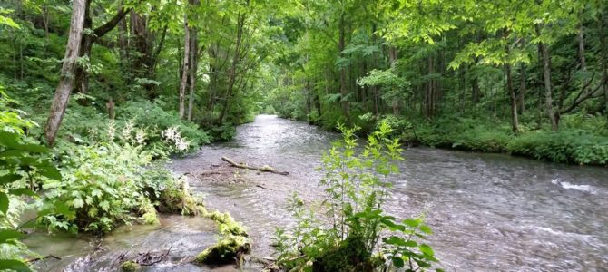 午後から奥入瀬へ 午後から奥入瀬へ