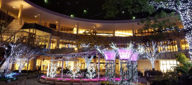 楽しめた内容でした 楽しめた内容でした