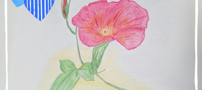 明けましておめでとうございます。 明けましておめでとうございます。