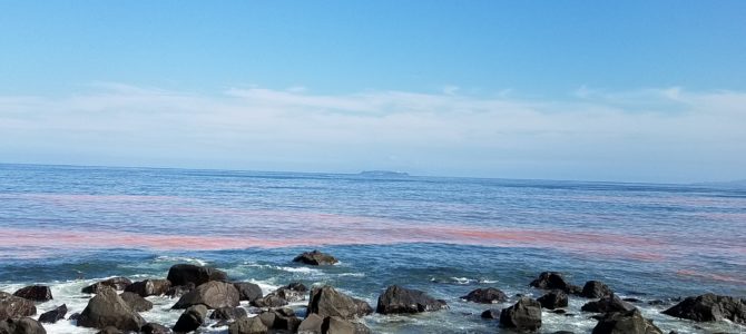 あっという間の休日 あっという間の休日