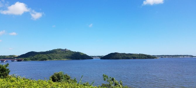 長男の最近と 長男の最近と