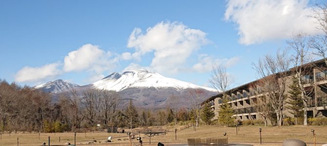 今年も宜しくお願いいたします。