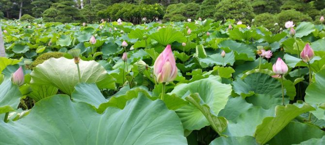 よりニーズに応えて