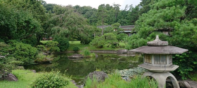 ３ヶ月振りですね