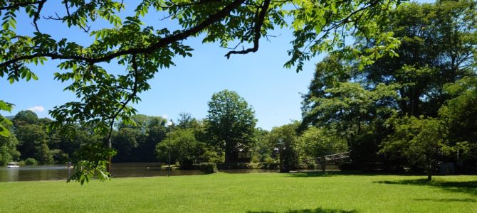 快晴なのでお散歩に 快晴なのでお散歩に